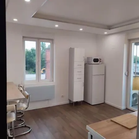 Au Porte Du Celebre Marche De Noel De Strasbourg Apartmán *